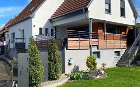 Chez L En Alsace Maison Independante 8 Pers Jardin & Cour Privative
